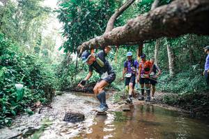 BIB: 
                            <button type="button" onclick="openModal(25369075)" class="btn btn-primary btn-sm float-right btn-popup" data-toggle="modal" data-target=".modal-high-quality">
                        <i class="fas fa-shopping-cart"></i> Add to Cart
                    </button>
                                            <button type="button" onclick="isThisMe(25369075, true)" class="btn btn-success btn-sm float-right btn-popup btn-isme hidden" data-toggle="tooltip" data-placement="bottom" title="นี่คือรูปของคุณใช่ไหม คลิกที่นี่เพื่อเอาเข้าอัลบั้ม">
                        <i class="fas fa-plus"></i> Add to album
                    </button>
                    <button type="button" onclick="isThisMe(25369075, false)" class="btn btn-warning btn-sm float-right btn-popup btn-isnotme hidden">
                        <i class="fas fa-ban"></i> Remove from album
                    </button>